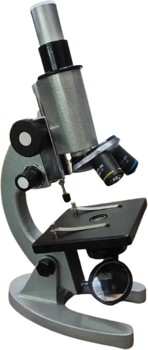 Compound Microscope