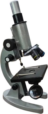 Compound Microscope