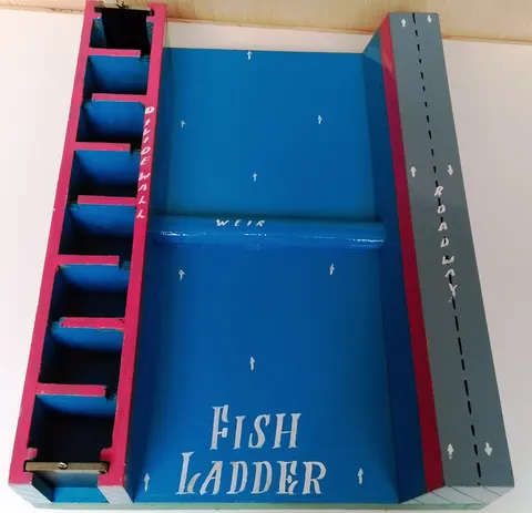 Model of Fish Ladder